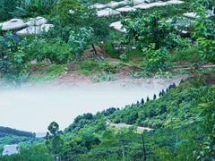 -桃源山庄·水蜜桃采摘·柴火鸡·烧烤团建(龙泉山店)