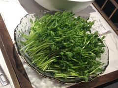 活体有机豆苗-捞神煲汤火锅(湖滨商业街店)