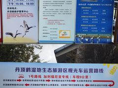 -盐城丹顶鹤湿地生态旅游区