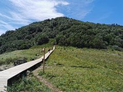 -白草畔自然风景区