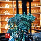 番禺轻奢粤菜天花板 老酒老茶老友家宴聚会 特色