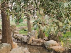 -东湖落雁景区