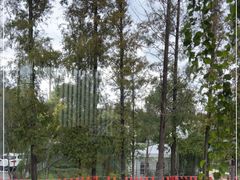 -前小桔亲子创意农场·草莓采摘·露营烧烤