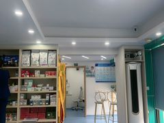 -博特宠物医院24h犬猫全科.骨科·异宠