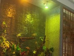 -泰适SPA馆丨精油·按摩·足道(后海地铁口店)