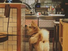 -BOCATA 西班牙餐厅(三里屯店)