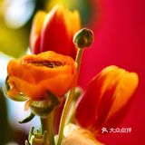 墨瑞我去了两次，为的也是这甜品（一）
