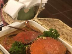 -茉莉.Red Crab