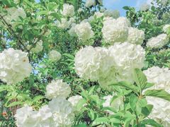 -杭州城北体育公园