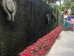-呀诺达热带雨林