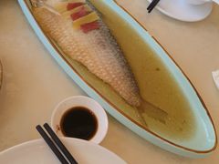 酒酿蒸鲥鱼-新镇江酒家(南京西路店)