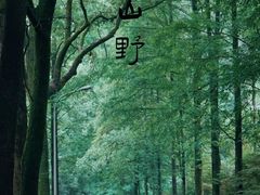 -缙云山景区