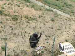 -石家庄市动物园