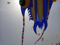 -潍坊滨海云门国际风筝放飞场