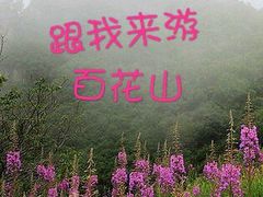 -白草畔自然风景区