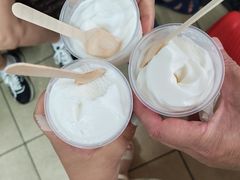 -洪馨椰子