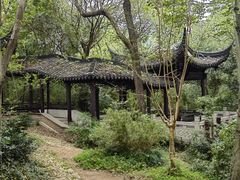 -上海佘山国家森林公园天马山园