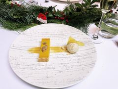 -蝶舍·MAISON PAPILLON