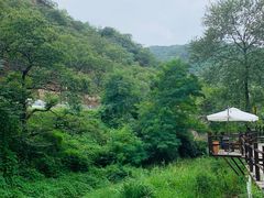 -Local泰莲庭(虹鳟鱼店)