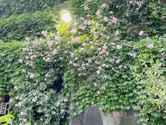 -半坡国际艺术区