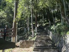 -莫干山风景区