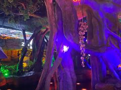-横店影视城梦幻谷园区