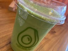 -油梨树 AVOCADO TREE(亮马桥店)