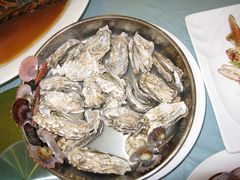生蚝-山东八大碗山东老字号