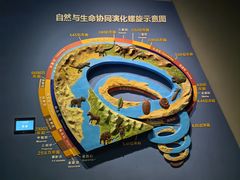 -湖南省地质博物馆