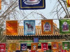 -闲·胡同 Barblu Hutong(雍和宫五道营店)