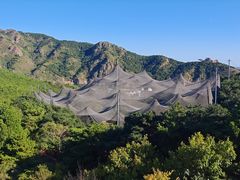 -燕塞湖鸟语林景区
