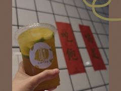 -LIMITED EXPRESS 限定快线