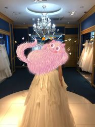 点击看大图 -帆拉斐婚纱摄影(春熙店)