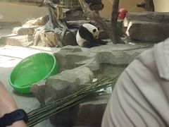 -宁波野生动物园