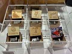 -浣熊唱片店(上海影城店)