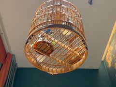 -侨美食家·粤菜(体育西路店)
