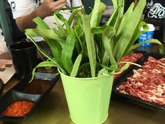 -手选潮汕鲜活牛肉火锅(二七广场店)