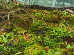 -国家植物园南园