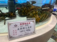波斯顿大龙虾-白金汉爵大酒店-24小时餐厅