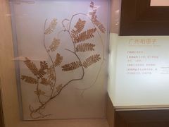 -广东省博物馆
