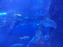 -太平洋海底世界博览馆·展览厅