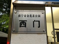 景点-金花茶公园