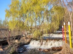 -长白岛森林公园