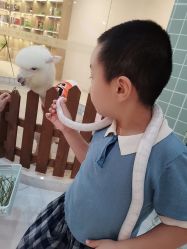 -Moni星球萌宠·小马宝莉·灵蛇·高端高阶全萌宠互动体验俱乐部(红豆国际广场店)