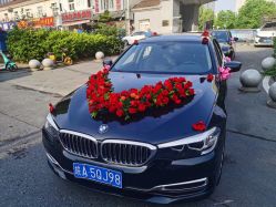 -蚂蚁婚车