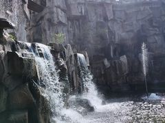 -黑龙江省森林植物园