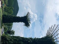 -原乡小镇度假乐园