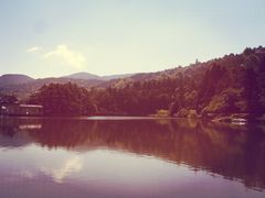 景点-庐山风景区花径公园