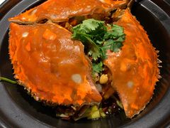 -正阳春烤鸭店(杨楼店)