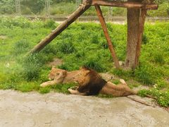 -北京野生动物园